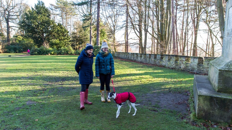 Visitors by the Sun monument and battlement walls at Wentworth Castle Gardens